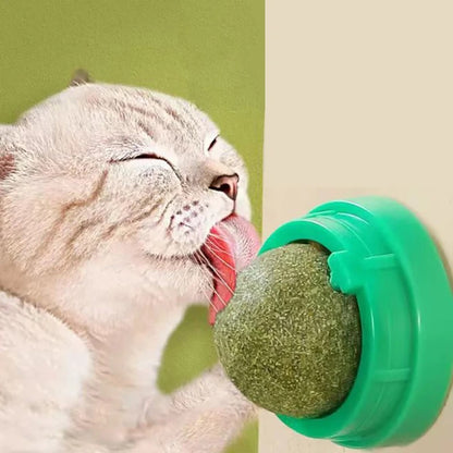 WallStick Catnip Ball