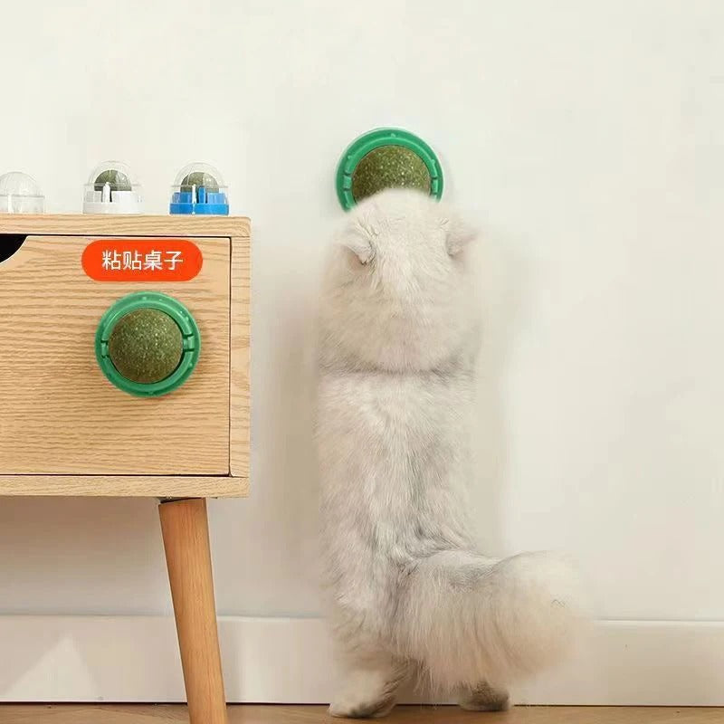 WallStick Catnip Ball