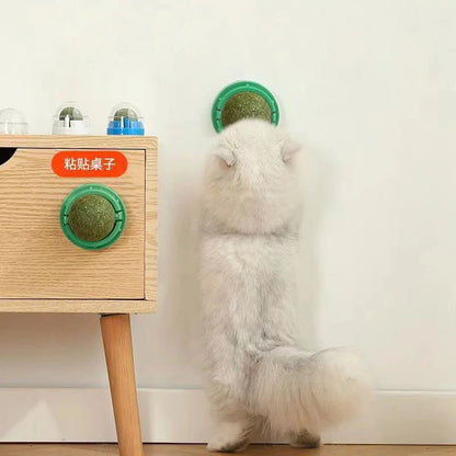 WallStick Catnip Ball