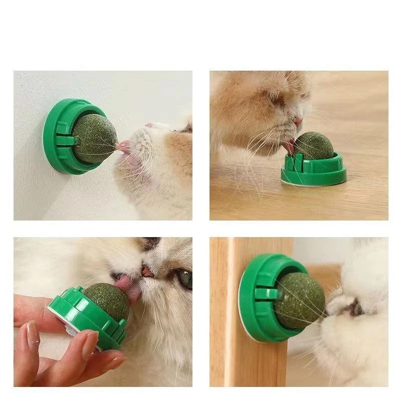 WallStick Catnip Ball
