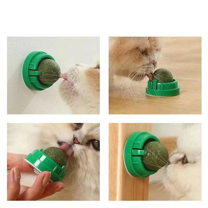 WallStick Catnip Ball