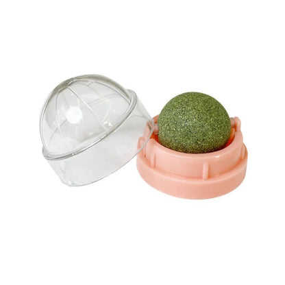 WallStick Catnip Ball