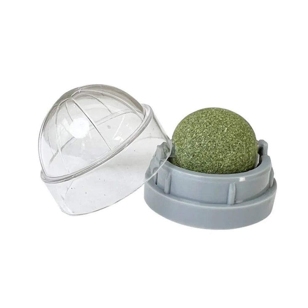 WallStick Catnip Ball